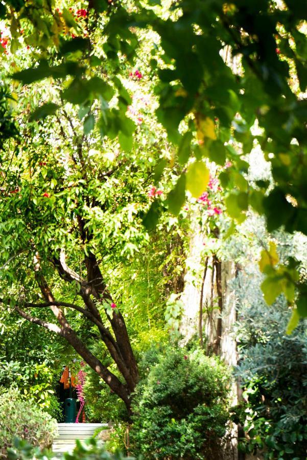 Alavya Hotel Alaçatı Eksteriør billede
